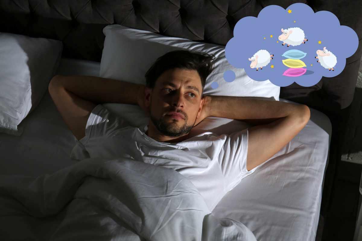 un uomo a letto conta le pecorelle sperando di addormentarsi