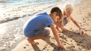 bambini che raccolgono conchiglie per esercizi mindfulness