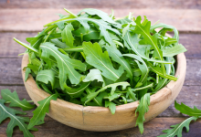 rucola