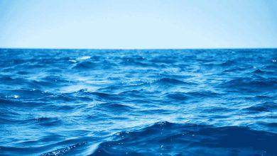 primo piano di mare aperto