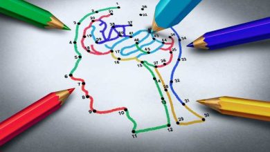 un disegno indica i circuiti cerebrali coinvolti nelle demenze