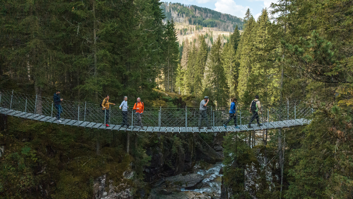 val di fiemme ponte sospeso