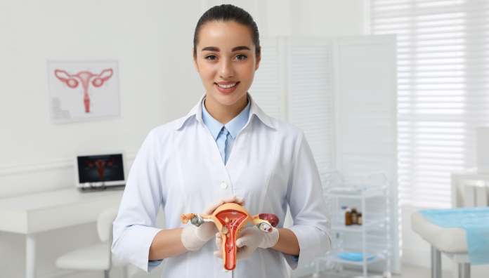 Un medico mostra un plastico degli organi riproduttivi femminili