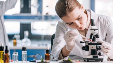 Una ricercatrice al lavoro