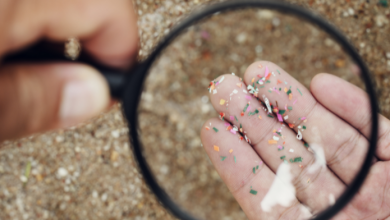 effetti delle nanoplastiche sulla salute