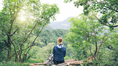 silent travel