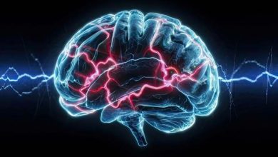 cervello non si spegne mai neanche quando dormiamo