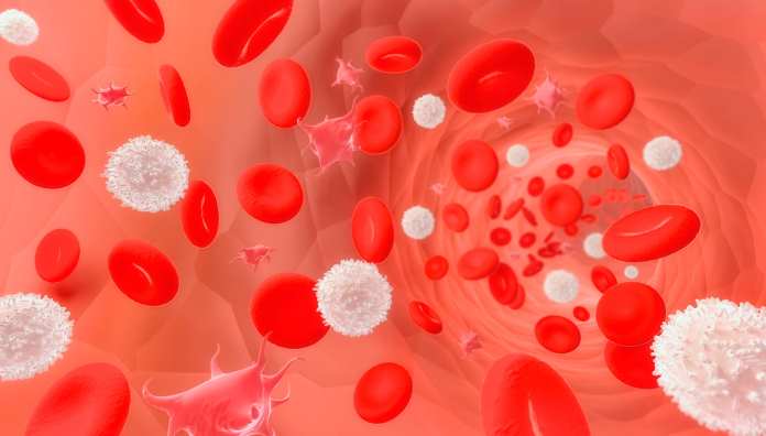 car t per leucemia mieloma