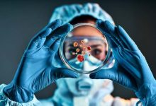denti coltivati in laboratorio i dettagli