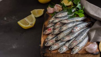 proprietà nutrizionali delle sardine