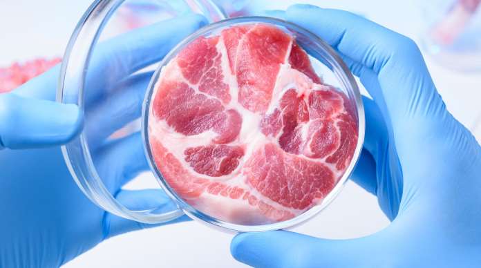 un campione di carne coltivata