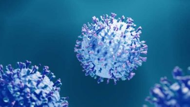 il virus colpira soprattutto in estate