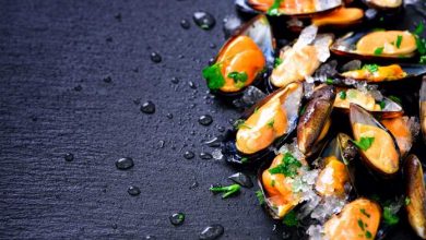 proprietà dei molluschi