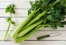 coste di sedano con un coltello