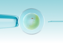 età maschile e fecondazione in vitro