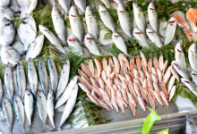 pesce