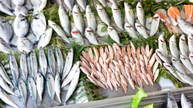 pesce
