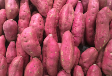 patate dolci