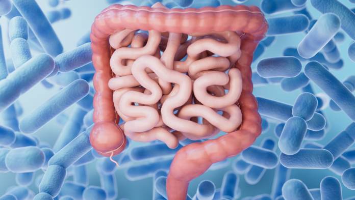 polipi intestinali