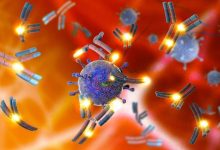 premio nobel per la medicina 2025