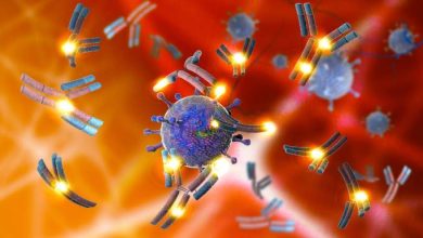 premio nobel per la medicina 2025