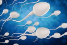 fertilità maschile in calo
