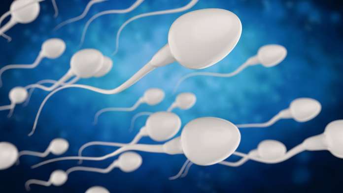 fertilità maschile in calo