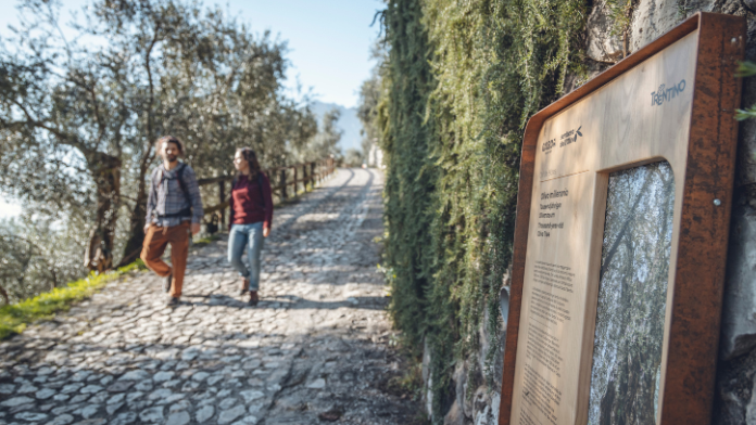 Il Sentiero dell'Olivo 