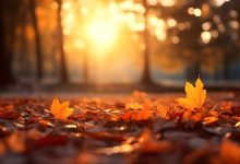 diabete e luce naturale