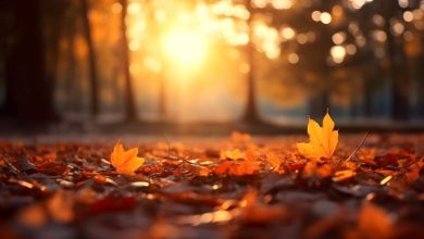 diabete e luce naturale