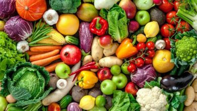 fibre proteggono il cervello