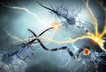 Nuovi farmaci antiepilettici