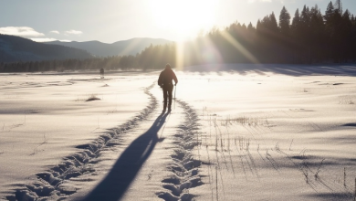 milano cortina 2026 esperienze da fare