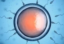 combattere l'infertilità maschile