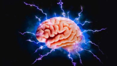 quando invecchia il cervello