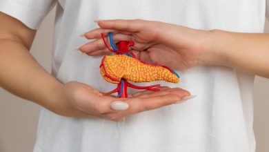 una donna tiene in mano un modellino in plastica del pancreas