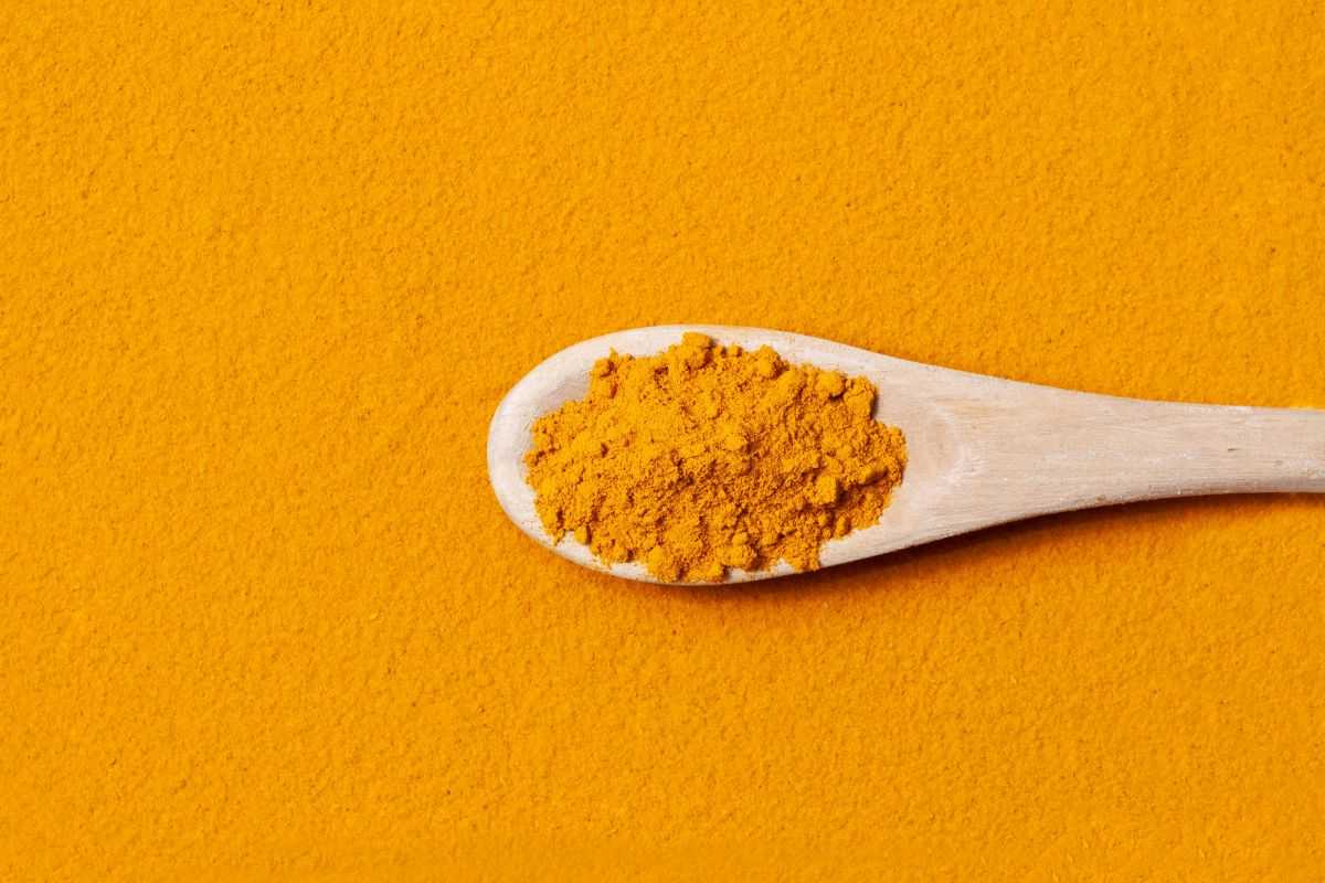curcumina, estratta dai rizomi macinati della curcuma