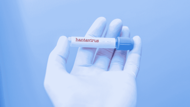 primo piano di una mano con un guanto di lattice con in mano una provetta per il test hantavirus