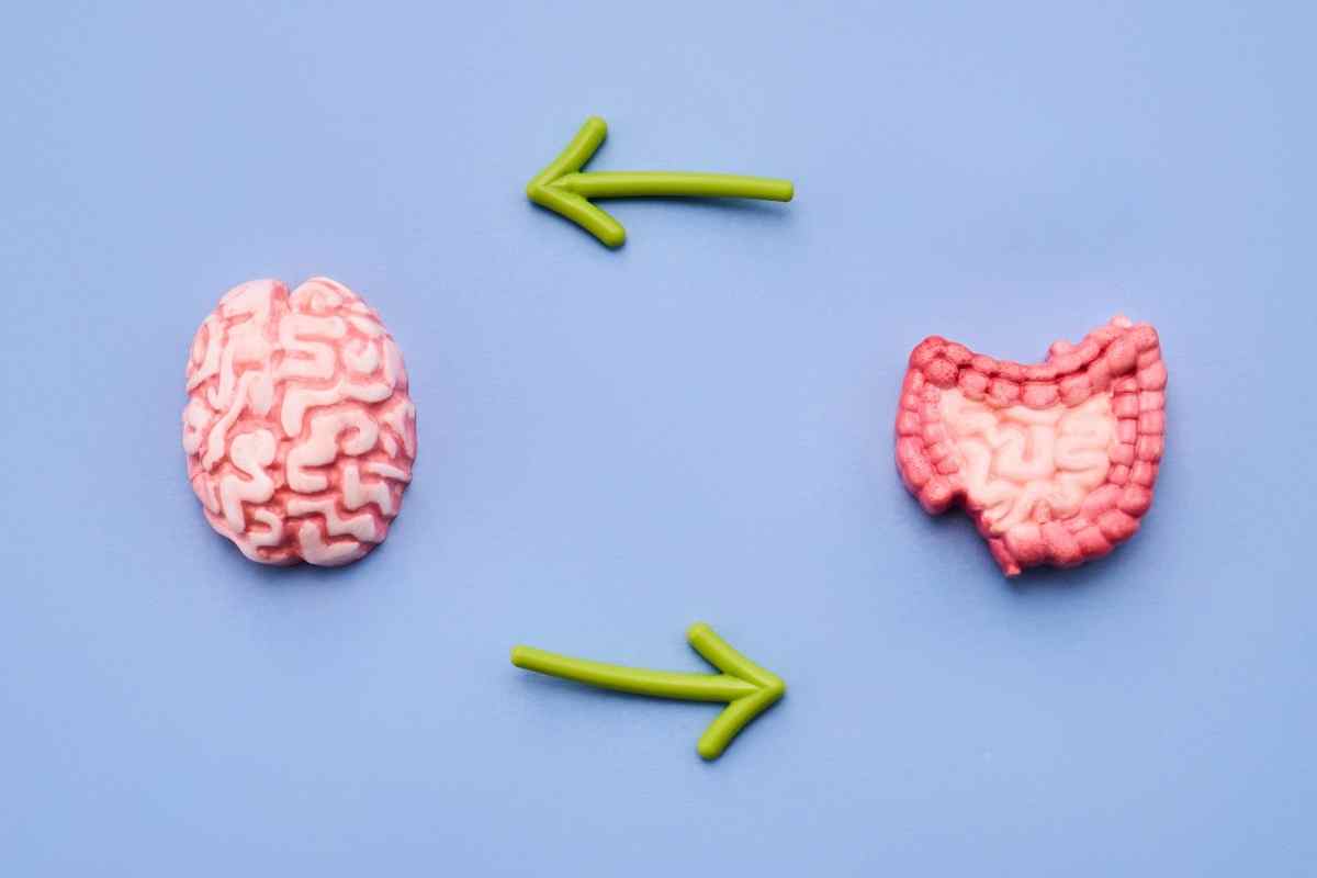 disegno di un cervello e di un intestino collegati da due frecce