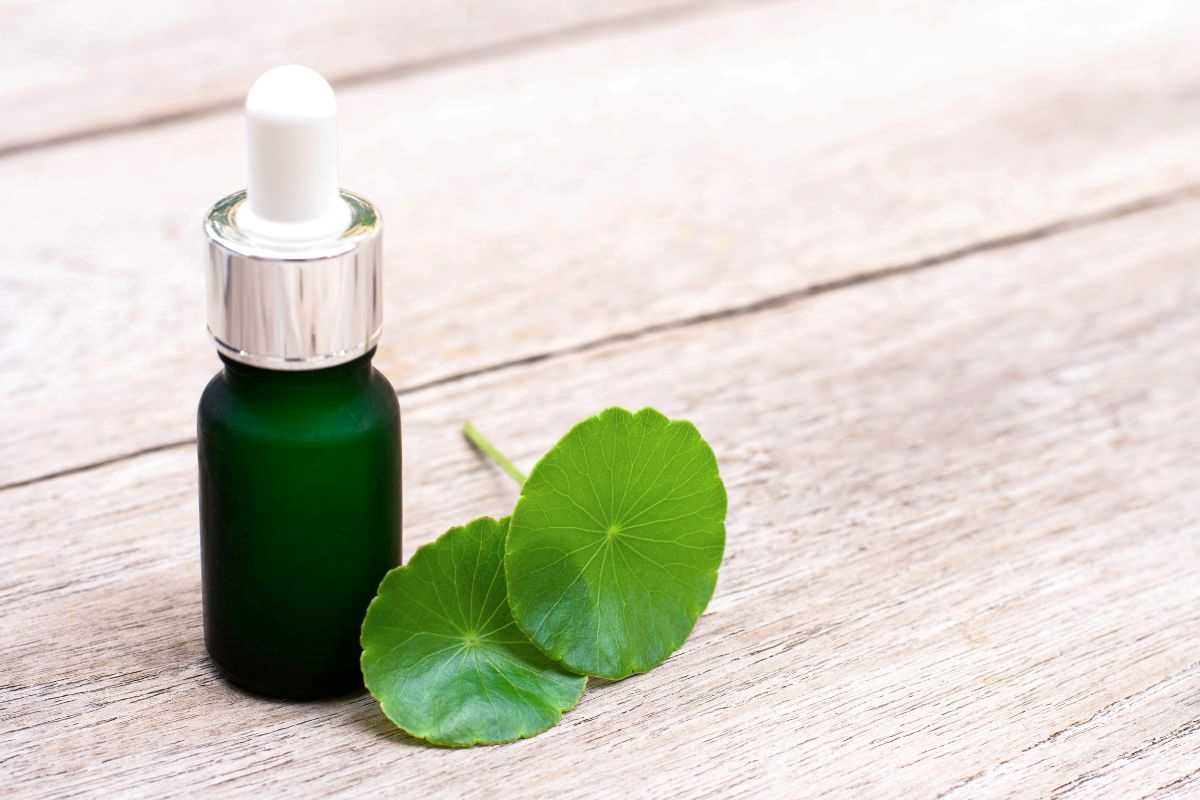 due foglie di centella e boccetta per integratori