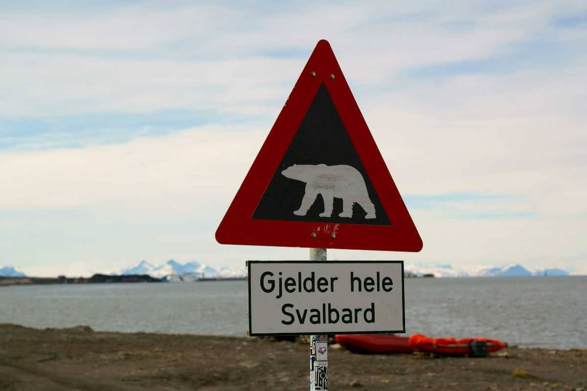 Cartello che indica la presenza dell'orso polare "su tutto il territorio delle Svalbard" (in norvegese "Gjelder Hele Svalbard”)