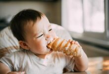 bambino che mangia un cannolo