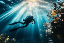 sub durante un'immersione subacquea