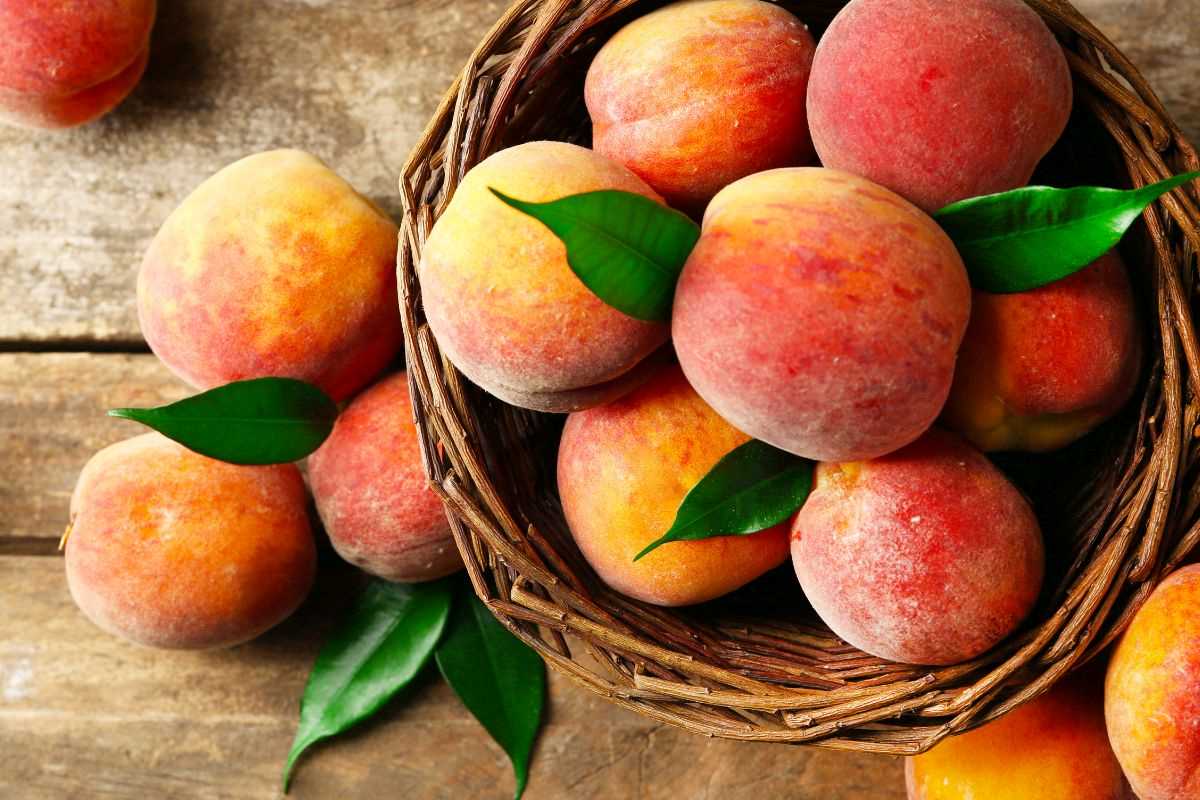 cestino di pesche