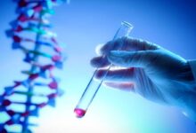 mano che regge una provetta con del sangue con un modellino di dna alle spalle