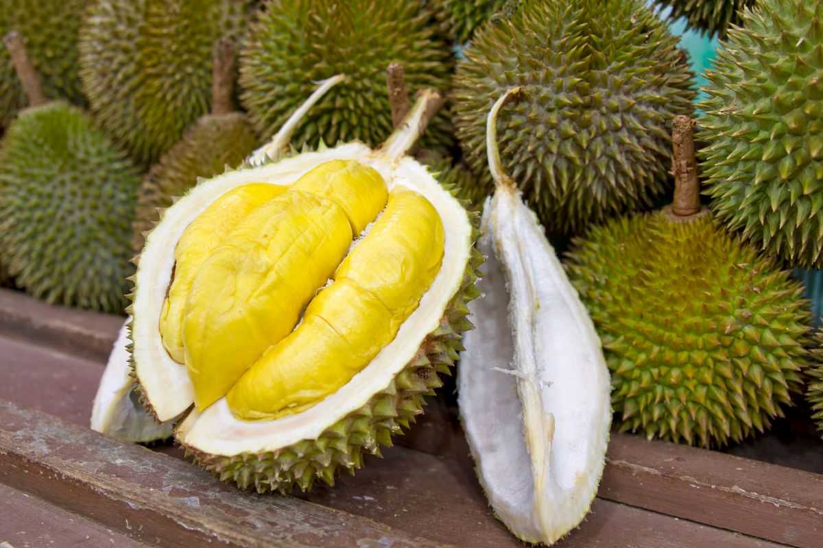 durian