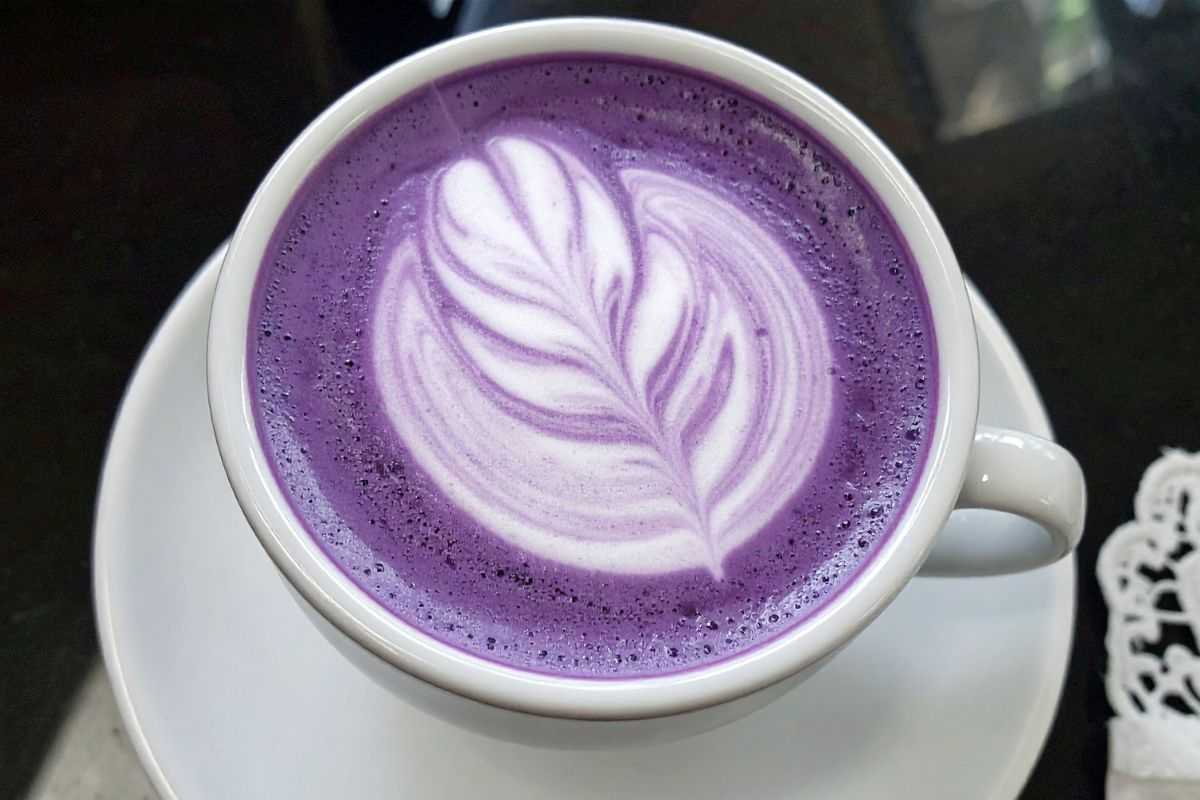 ube latte caldo in tazza grande