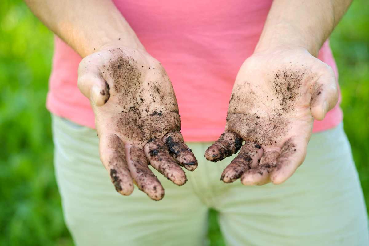 un ragazzo mostra mani sporche di terra