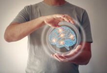 un uomo ha in mano una visualizzazione del cervello