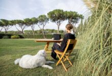 ragazza che fa study retreat in campagna, cioè studia in mezzo al verde per prepararsi a esame o verifica
